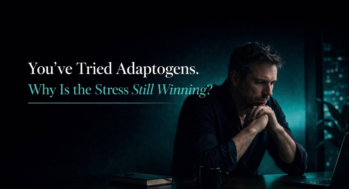 You’ve Tried Adaptogens. Why Is the Stress Still Winning